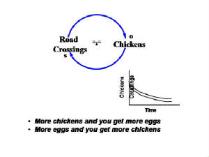 Roadcrossings.JPG